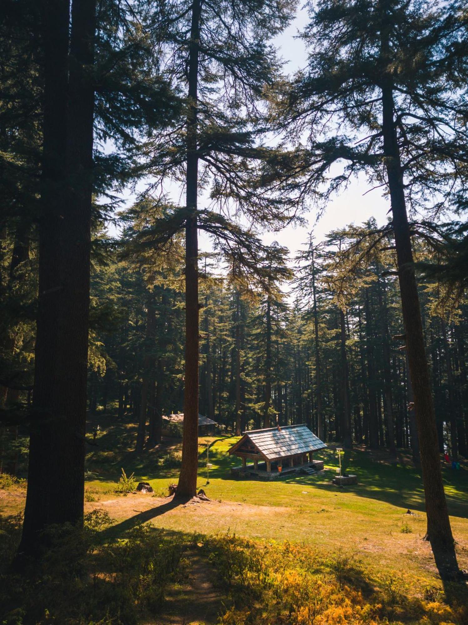 Hostel 360 Degree, Jibhi Exterior foto